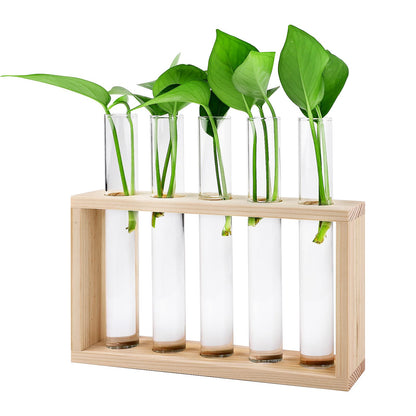 Decorative plants container
